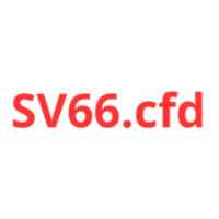 sv66cfd profile image