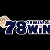 78WIN profile image