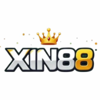 xin88hot profile image