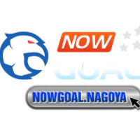 nowgoalusorg profile image