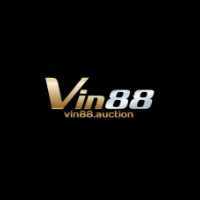 VIN88 AUCTION profile image