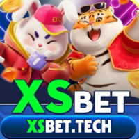 Xsbet tech profile image