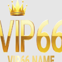 Vip66 name profile image