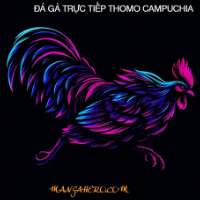 ĐÁ GÀ TRỰC TIẾP THOMO profile image