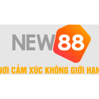 CEO Tiểu Hòa Ca profile image