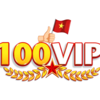 100VIP profile image