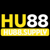 HU88 profile image