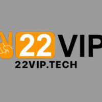 22viptech profile image