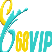 68VIP plus profile image