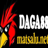 Đá Gà Trực Tiếp profile image