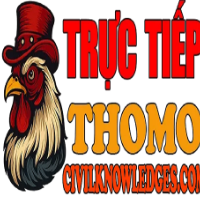 dagatructiepcicil profile image