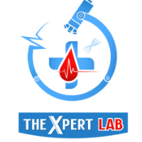 author - thexpertlab