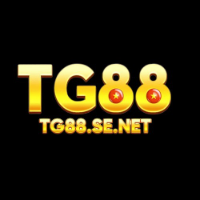 TG88 SENET profile image