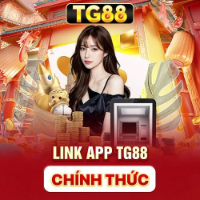 TG88 profile image