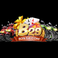 b29sacom profile image