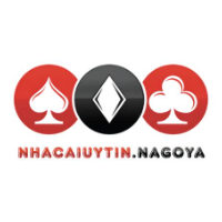 nhacaiuytinbr profile image