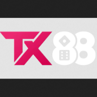 TX88 profile image