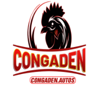 CON GÀ ĐEN profile image