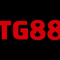 TG88 profile image