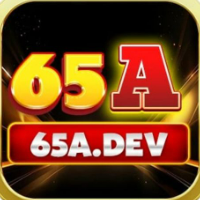 65adev profile image