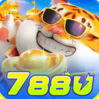 788u profile image