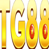 TG88 profile image
