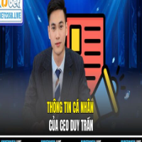 ceoduytran profile image