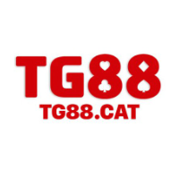 TG88 profile image