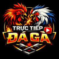 Trực Tiếp Đá Gà profile image