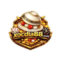 xocdia88study profile image