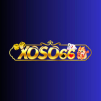 Xoso66 profile image