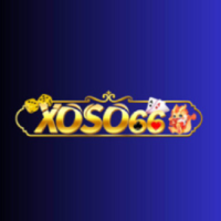 xoso66proorg profile image