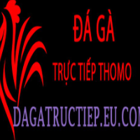 Đá Gà Trực Tiếp profile image