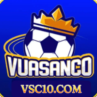 Vsc10 com profile image
