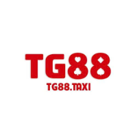 TG88 profile image