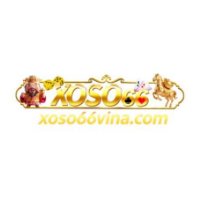 XOSO66 VINA là website chuyên xổ số truyền thống hằng ngày profile image