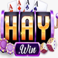 haywin1digital profile image