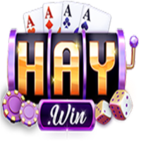 Haywin1 cash profile image