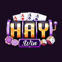 Haywin1games profile image