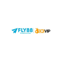 fly88cscn com profile image