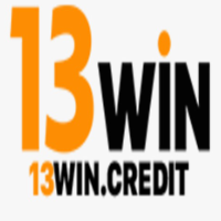 13wincredit profile image