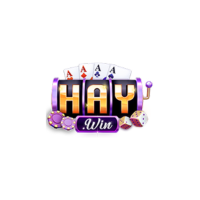 Haywin2 dev profile image
