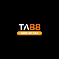 TA88 AEORG profile image