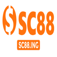 Sc88ing profile image
