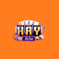 Haywin2 net profile image