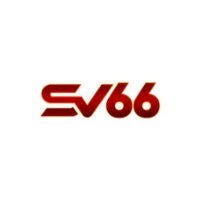 sv66vninnet profile image