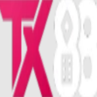 Tx88 profile image