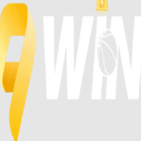 9WIN profile image