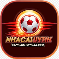 nhacaiuytinza profile image