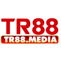 TR88 profile image